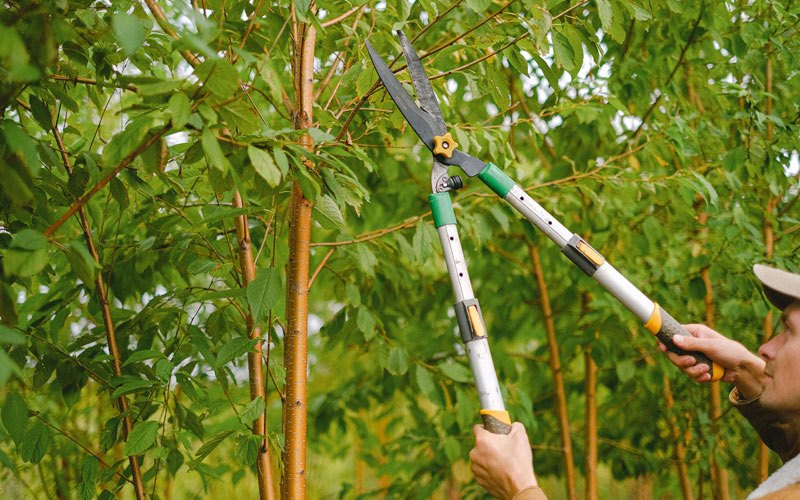 Tree trimming in Falls City, NE